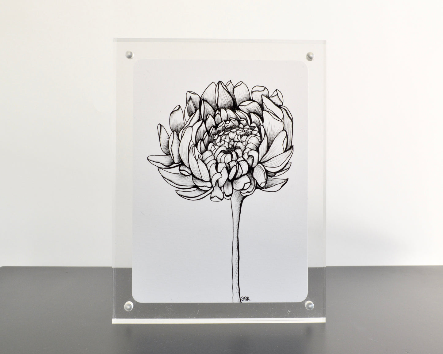 Chrysanthemum II